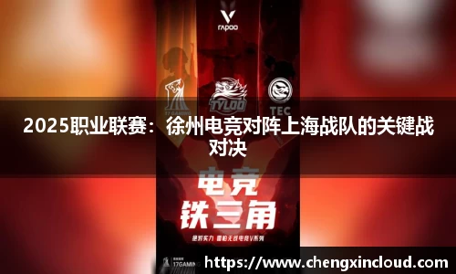 2025职业联赛：徐州电竞对阵上海战队的关键战对决